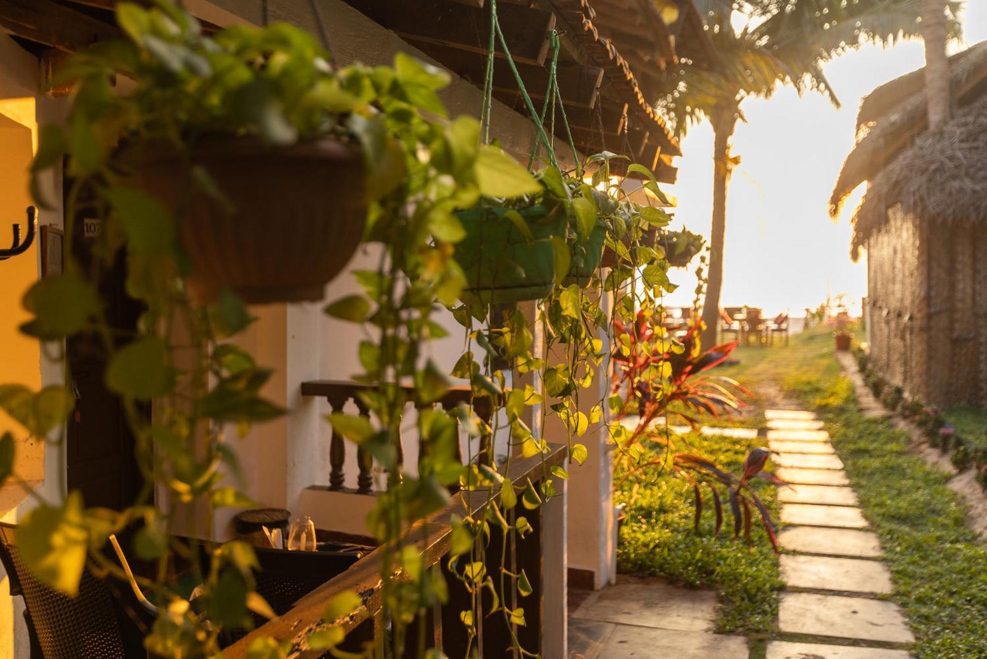 Forget Me Not Resort 아곤다 외부 사진